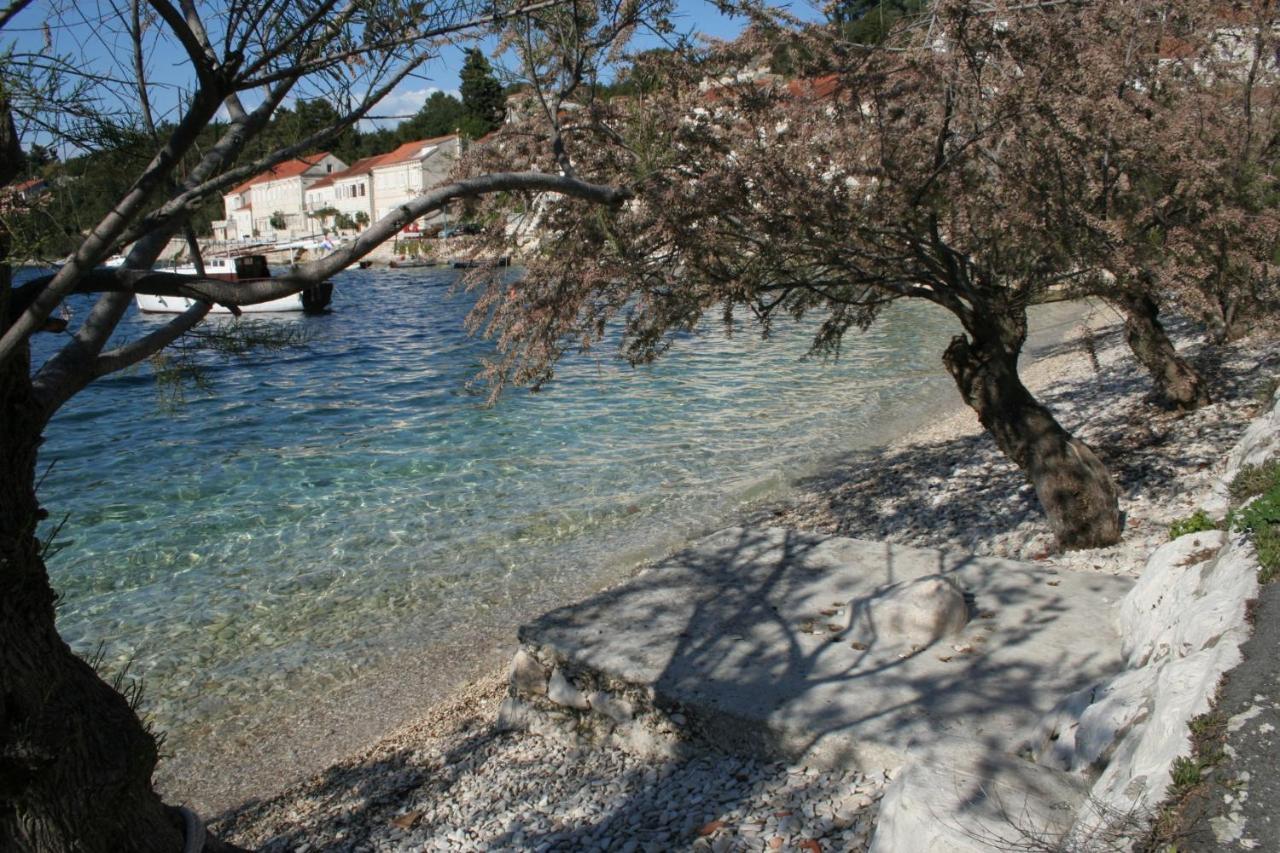 Apartments And Rooms By The Sea Racisce, Korcula - 4341 Zewnętrze zdjęcie